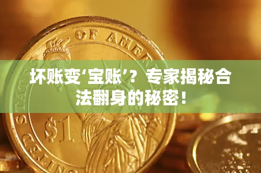 济南坏账变‘宝账’？专家揭秘合法翻身的秘密！