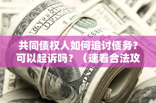 济南共同债权人如何追讨债务？可以起诉吗？（速看合法攻略）