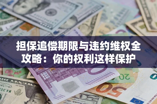 济南担保追偿期限与违约维权全攻略：你的权利这样保护